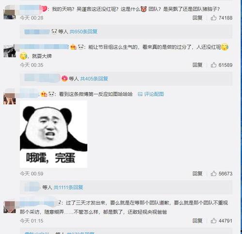 吴瑾言最新爆料视频,娱乐圈幕后真相大曝光  第2张